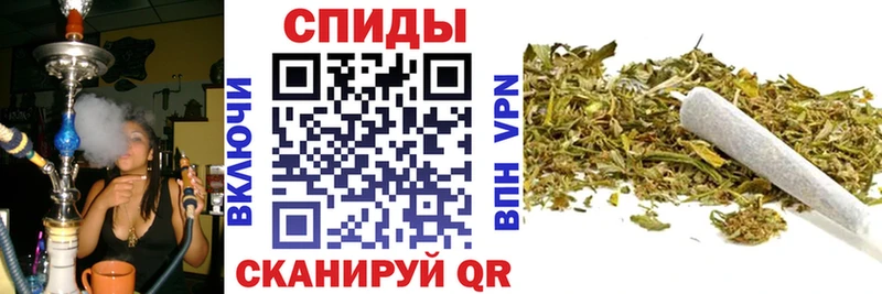 KRAKEN зеркало  где купить наркотик  Светлогорск  БУТИРАТ оксибутират 