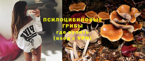 крисы Белокуриха