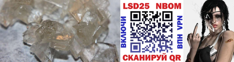 дарнет шоп  Светлогорск  Лсд 25 экстази ecstasy 
