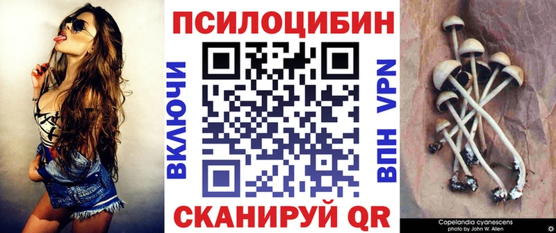 купить закладку  Светлогорск  Псилоцибиновые грибы прущие грибы 